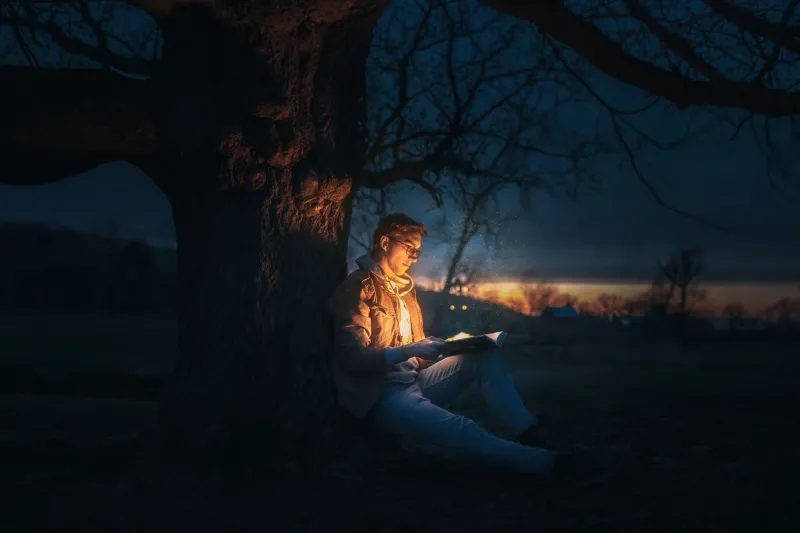 They Wrote It First: The Fan Fiction Writers Who Saw Canon Coming