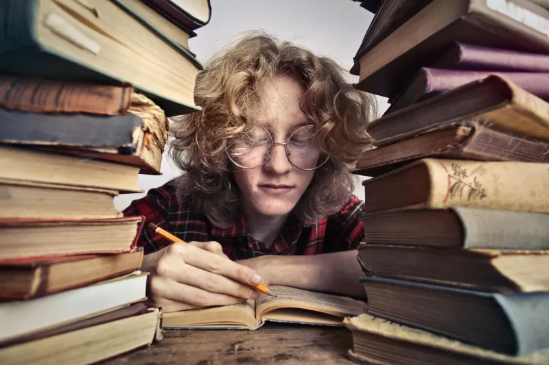 The Ending Was Wrong: Why Fan Writers Are the Best Literary Critics Working Today